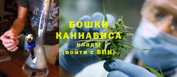 мдпв Болохово