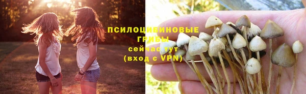 метадон Новозыбков