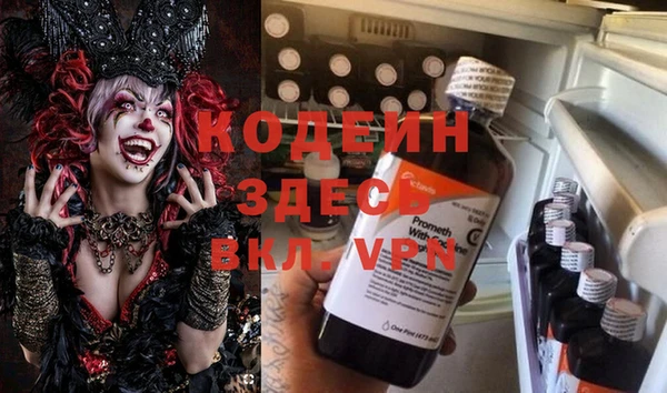 дмт Лагань